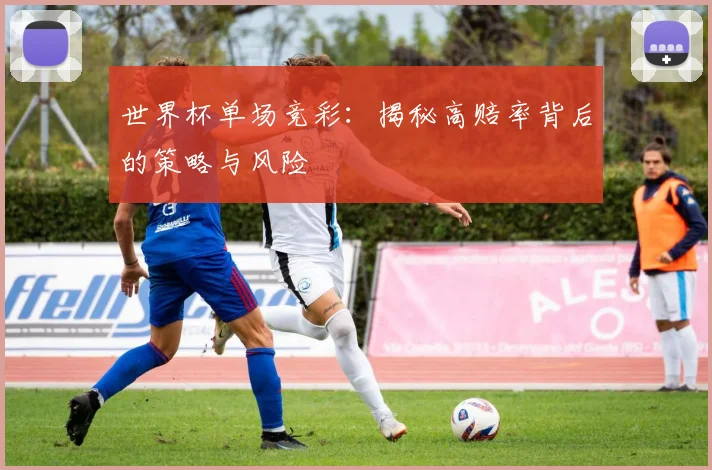 世界杯单场竞彩：揭秘高赔率背后的策略与风险