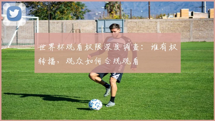 世界杯观看权限深度调查：谁有权转播，观众如何合规观看