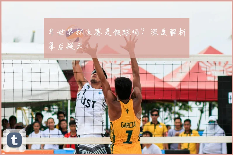 年世界杯决赛是假球吗？深度解析幕后疑云