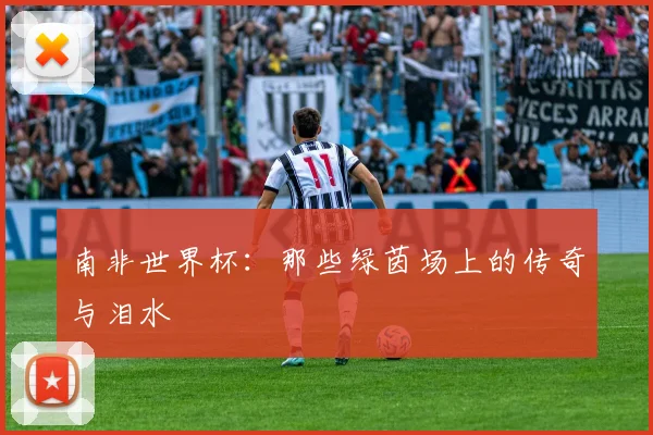 南非世界杯：那些绿茵场上的传奇与泪水