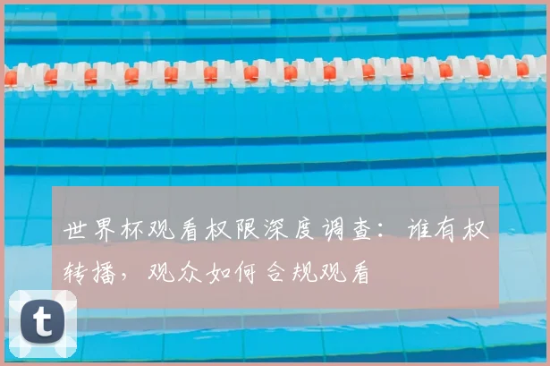 世界杯观看权限深度调查：谁有权转播，观众如何合规观看