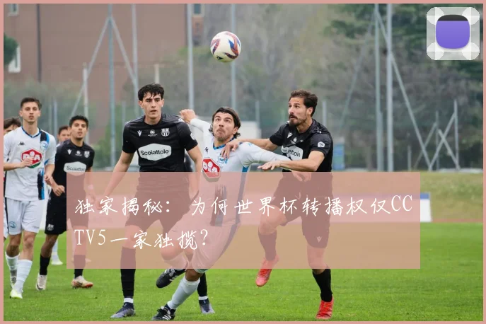 独家揭秘:为何世界杯转播权仅CCTV5一家独揽?