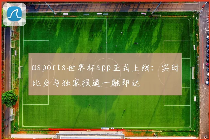 msports世界杯app正式上线：实时比分与独家报道一触即达
