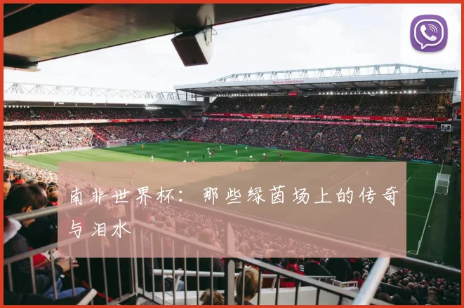 南非世界杯：那些绿茵场上的传奇与泪水