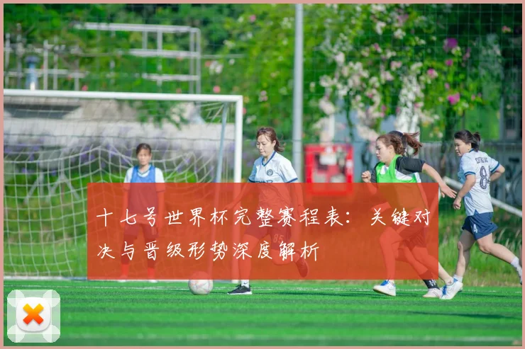 十七号世界杯完整赛程表：关键对决与晋级形势深度解析