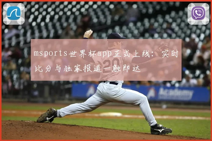 msports世界杯app正式上线：实时比分与独家报道一触即达